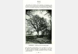 Extrait guide de Royan, 1923 / Visuel : D.R.