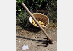 Pic pour patates / Visuel : D.R.