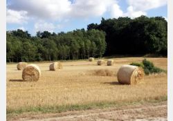Toponymes commençant par chez ou les - Chez Forgit